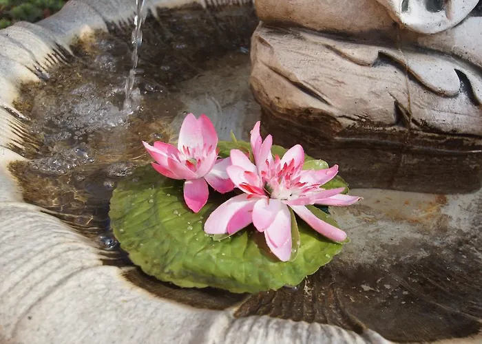 Seka With Seaview Korčula