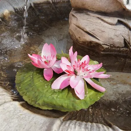 Seka With Seaview 科尔丘拉